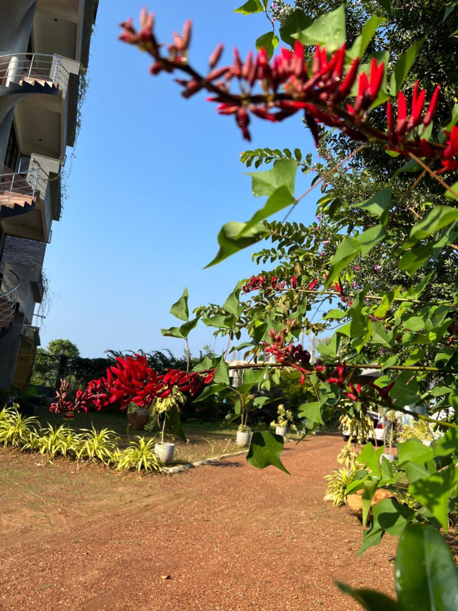 Kapaliya Unawatuna Extérieur photo