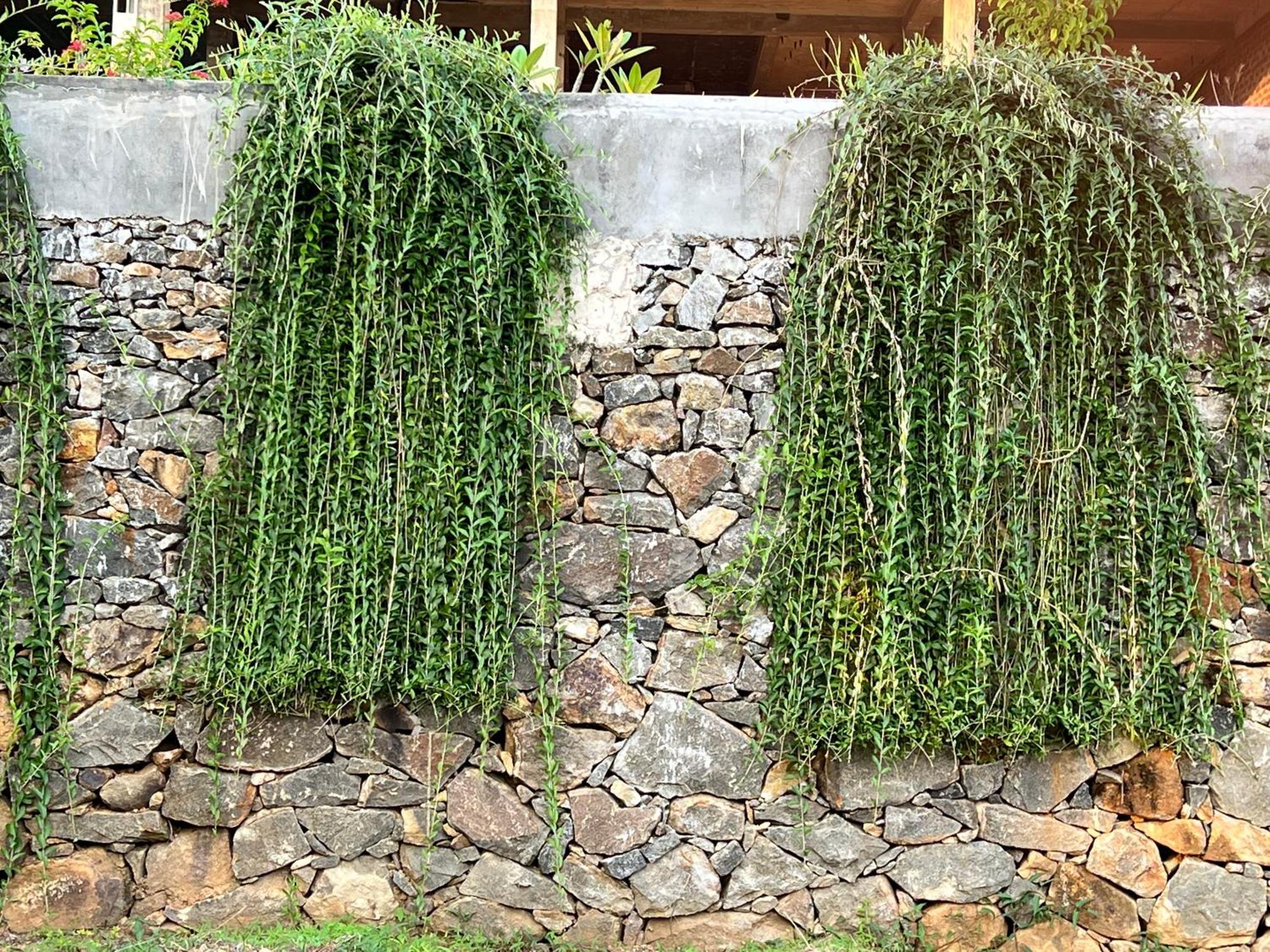 Kapaliya Unawatuna Extérieur photo